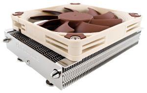 noctua