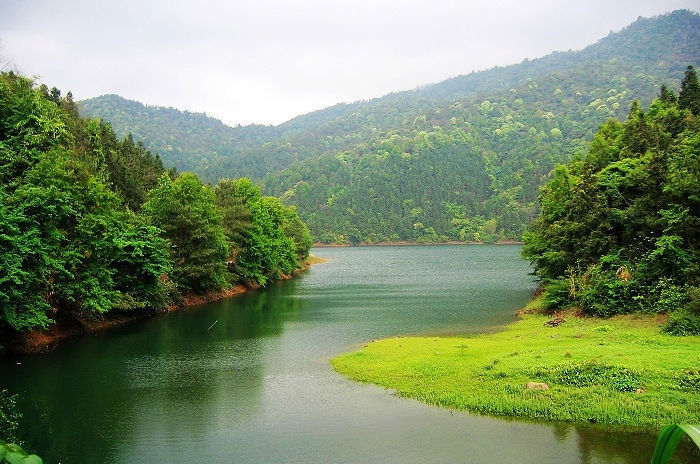 趙泉河村