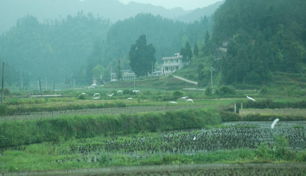 貴州湄潭湄江湖國家濕地公園