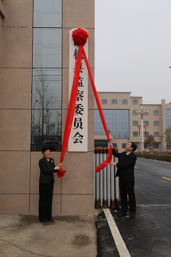 民權縣監察委員會