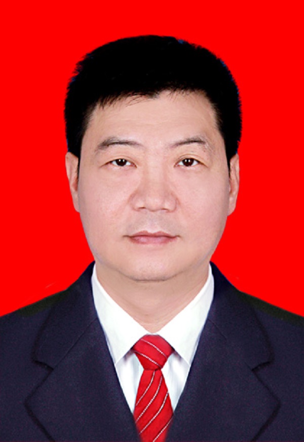 吳華(羅定市副市長)