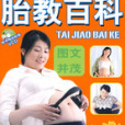 胎教百科(2008年中國婦女出版社出版的圖書)