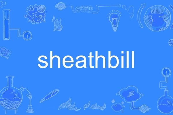 sheathbill