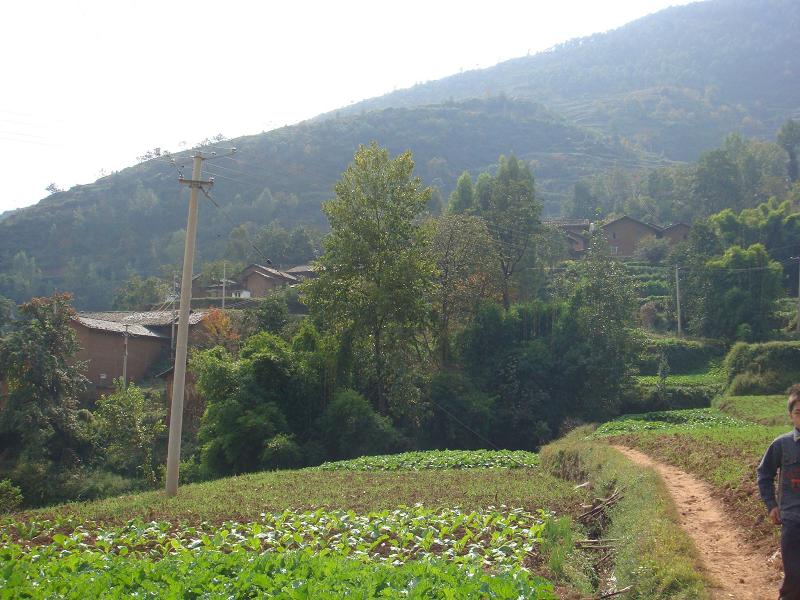 鹽井溝村