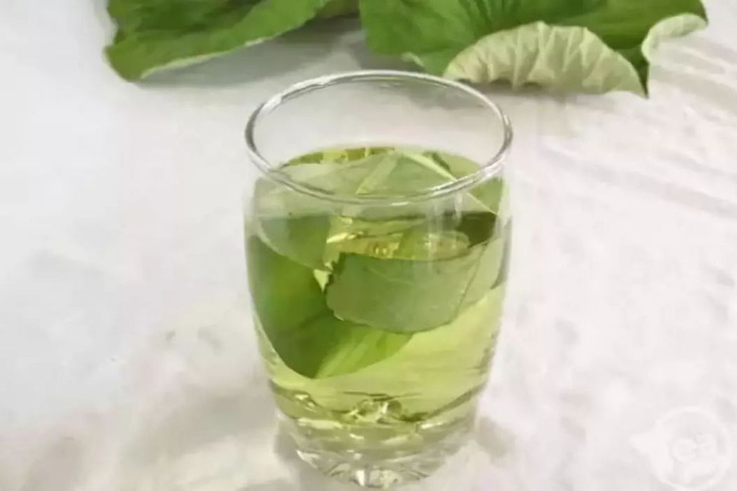 藿香石膏茶