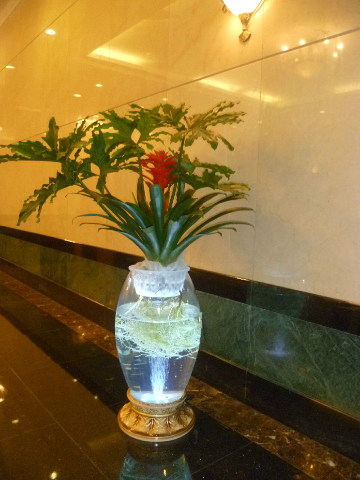 酒店裡的水培花卉