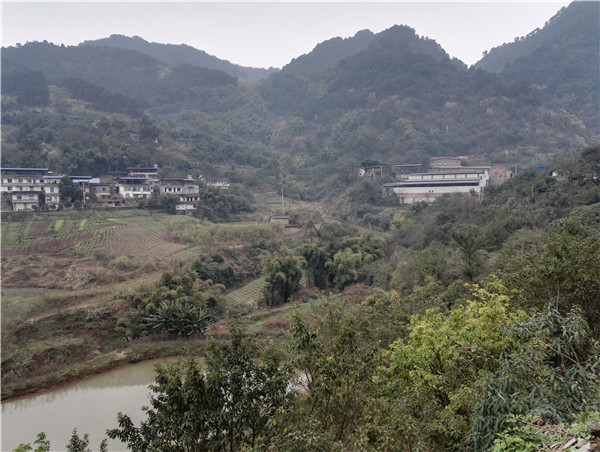 大坪村(雲南省曲靖市會澤縣馬路鄉大坪村)