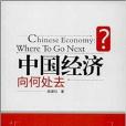 中國經濟向何處去