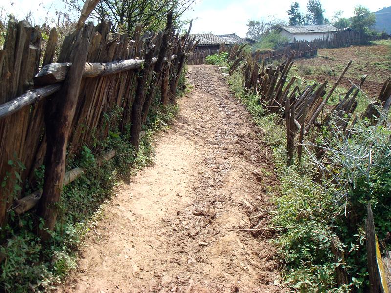 進村道路