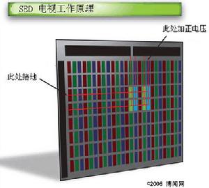 SED電視機