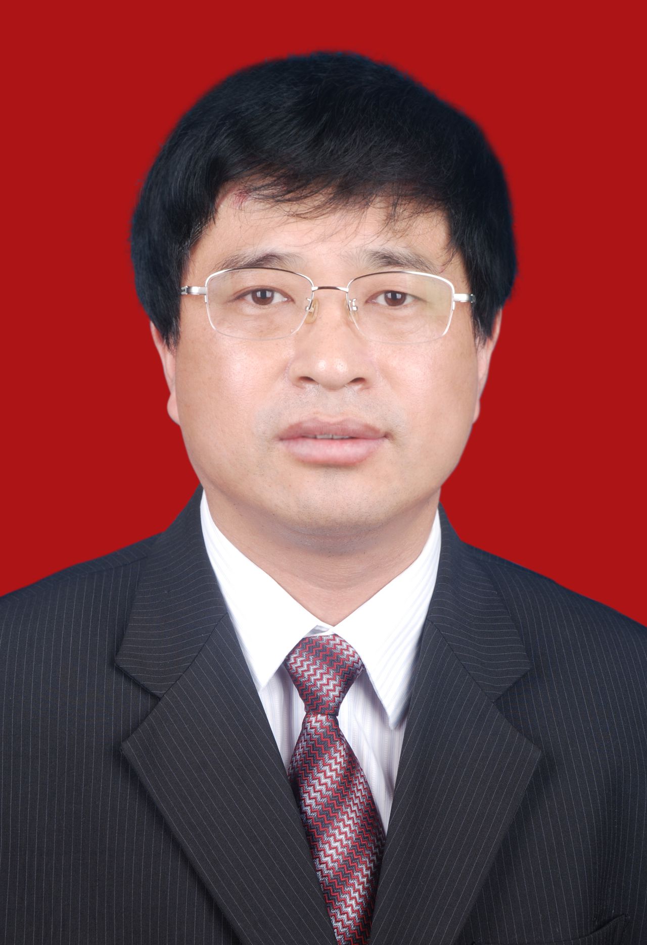 馬冰(河南省南陽市副市長)