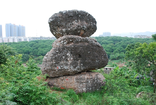 大沙田