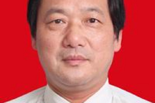 岳建平(河海大學土木工程學院副院長)