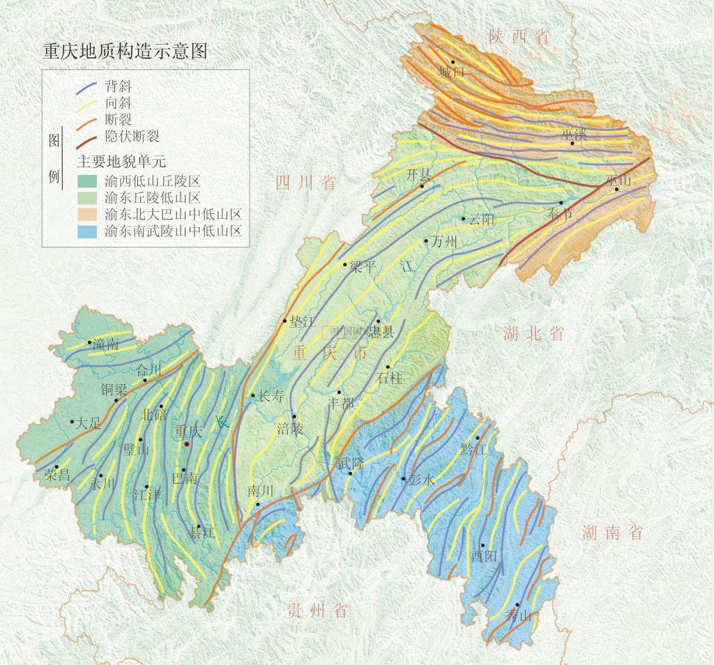 分支構造