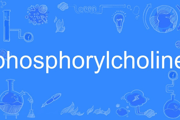 phosphorylcholine