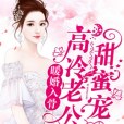 暖婚入骨，高冷老公甜蜜寵(暖婚入骨：高冷老公甜蜜寵)