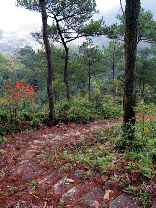 門檻山古道