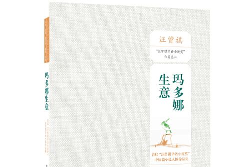 瑪多娜生意(2018年生活·讀書·新知三聯書店出版的圖書)