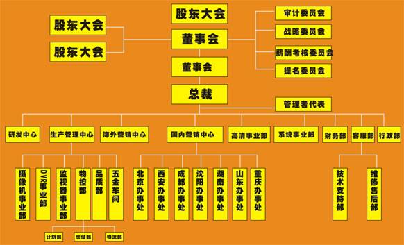 深圳市深視音電子技術有限公司