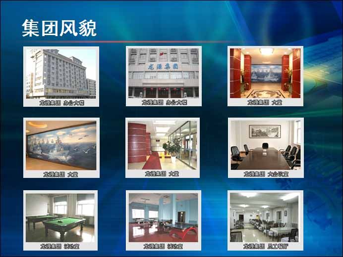 黑龍江省套用電子有限責任公司