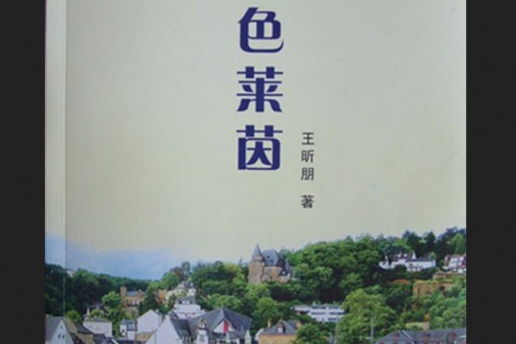 金色萊茵(2008年中國畫報出版社出版的圖書)