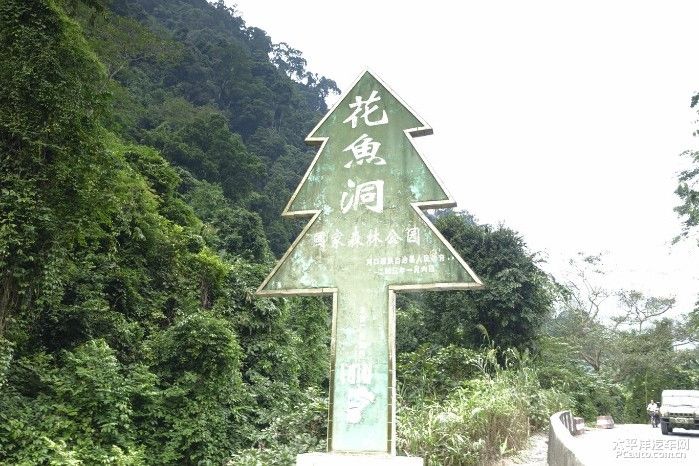 花魚洞國家森林公園