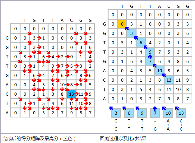 史密斯-沃特曼算法