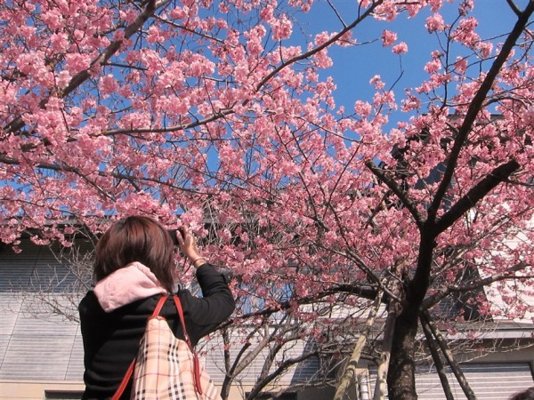 三島市樂壽園