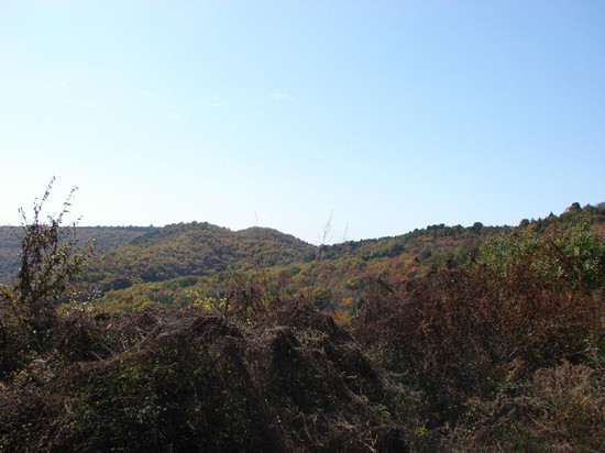 相思川森林休閒觀光景區