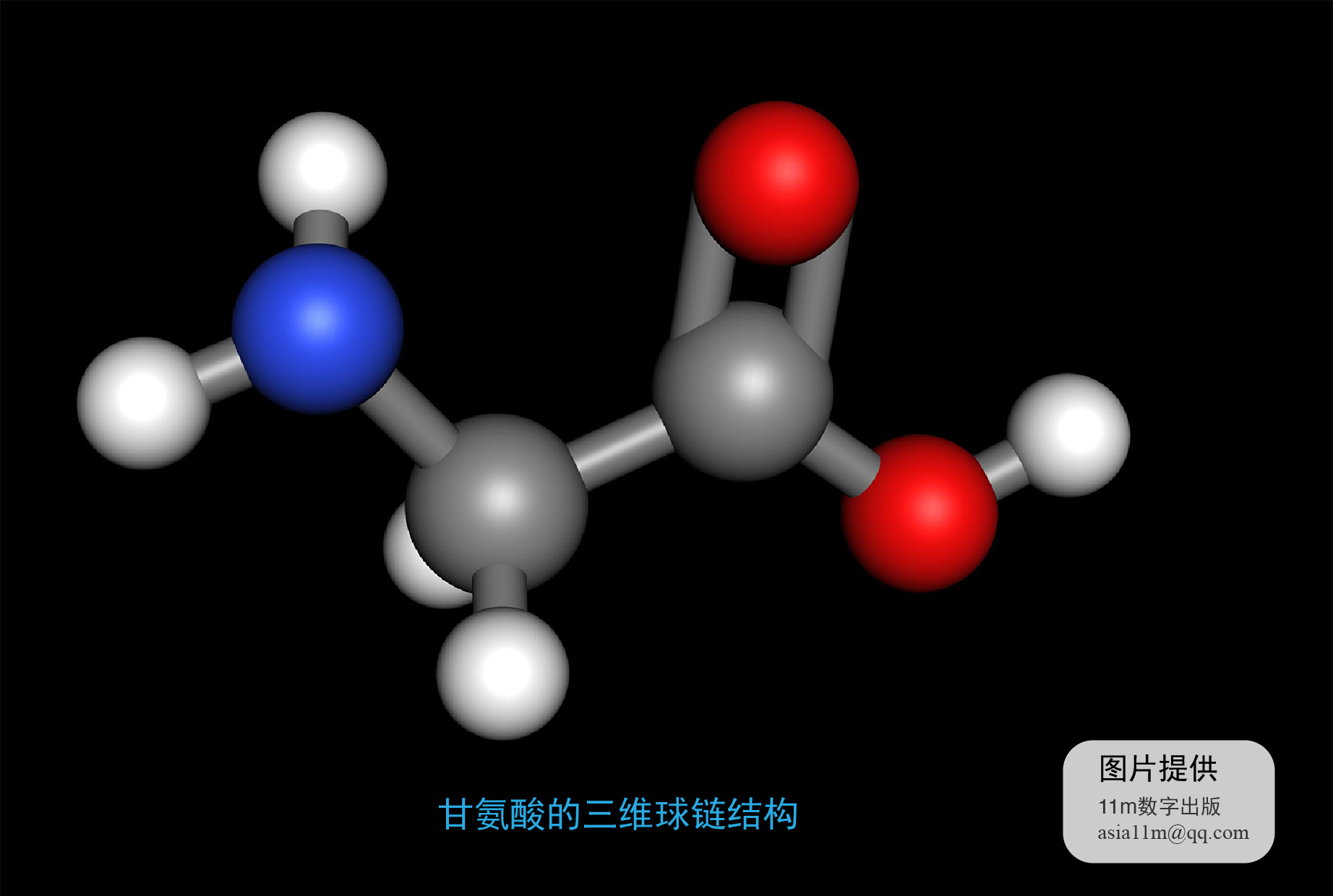 甘氨酸的三維球鏈結構