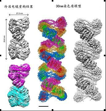 生命信息載體