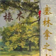 橡木：塞林拿之書