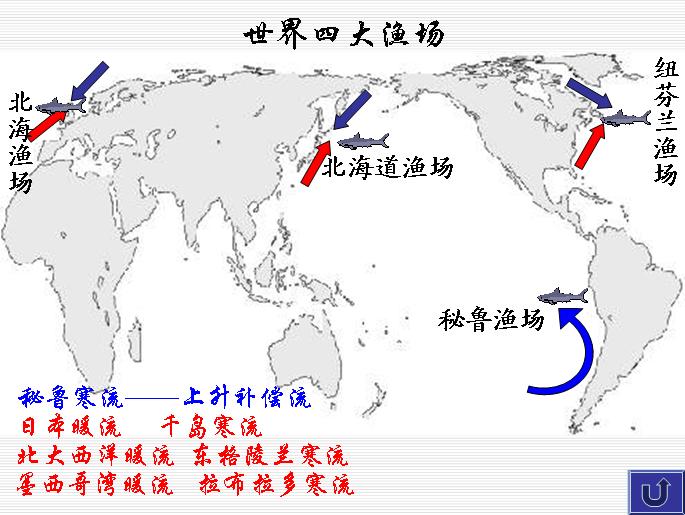 世界四大漁場