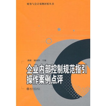 企業內部控制規範指引操作案例點評