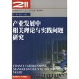 產業發展中相關理論與實踐問題研究