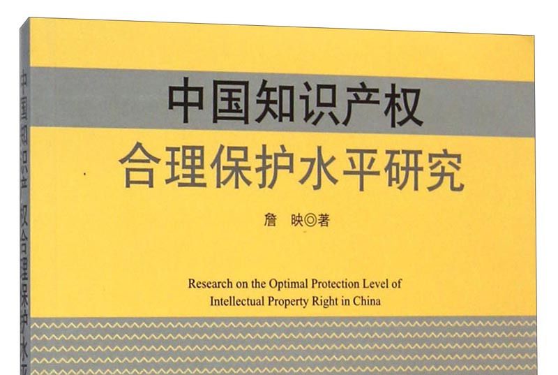 中國智慧財產權合理保護水平研究