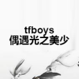 tfboys偶遇光之美少