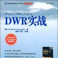 DWR實戰