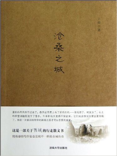 滄桑之城(2012年清華大學出版社出版書籍)