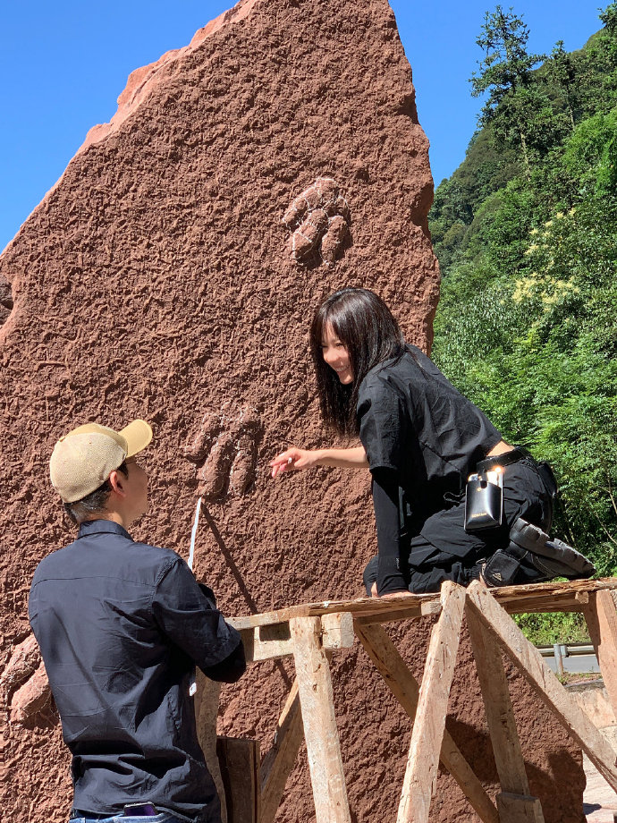 野比氏實雷龍足跡