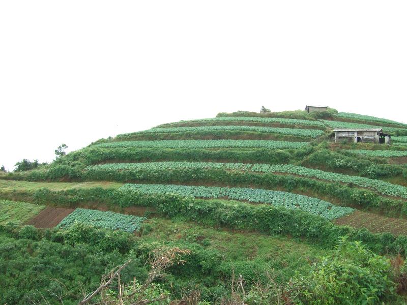 東山村