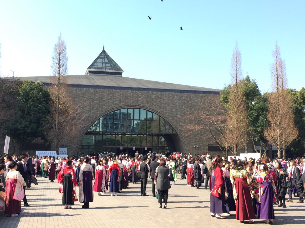 北九州市立大學(北九州大學)