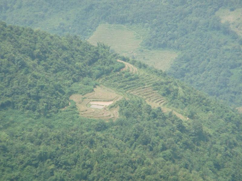 大山寨村稻田一角