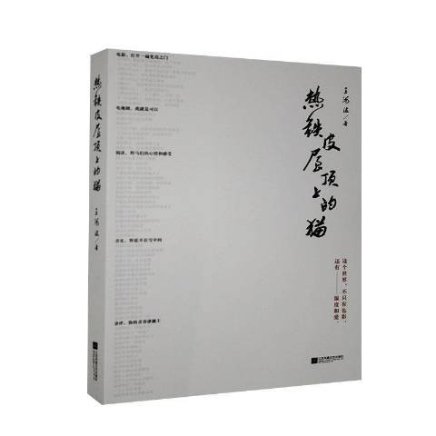 熱鐵皮屋頂上的貓(2010年江蘇鳳凰文藝出版社出版的圖書)