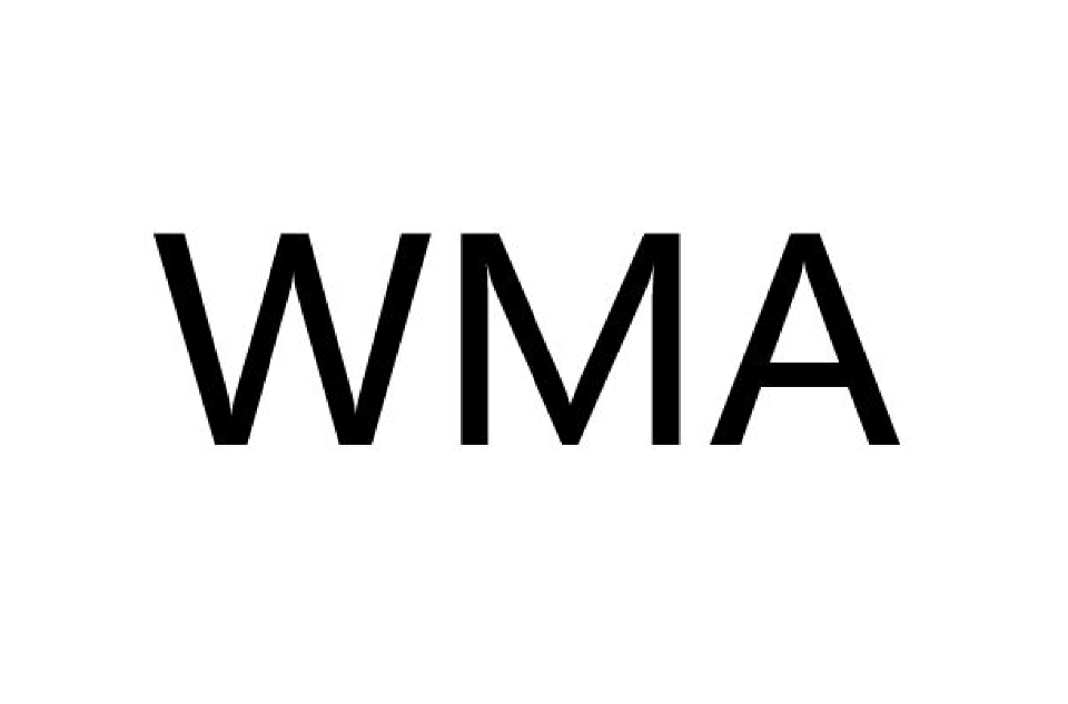 WMA(中國武術職業聯賽)