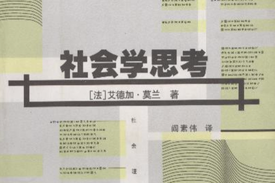 社會學思考社會理論譯叢