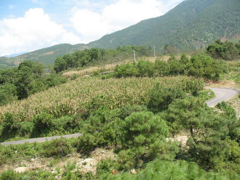 雞茨坪村(雲南省大理市漾濞縣蒼山西鎮雞茨坪)