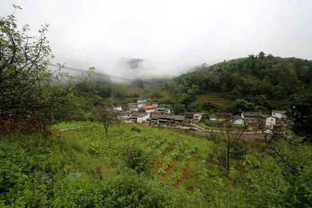 大水自然村(雲南省昭通鎮雄縣黑樹鎮碗水村委大水自然村)