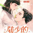 陸少的隱婚罪妻(瓶紫吖所著網路小說)