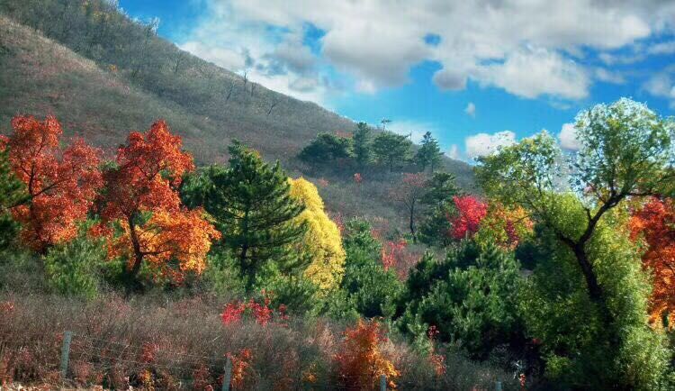 蓮花山村